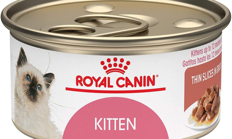 royal canin cat food