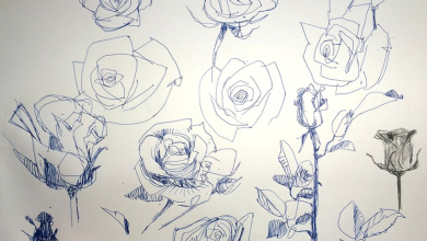 Photo of How to draw a rose | step by step