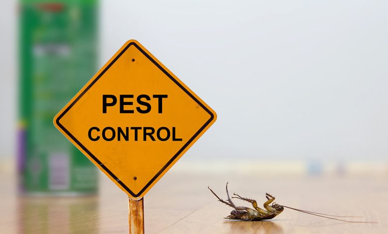 Pest Control Melbourne