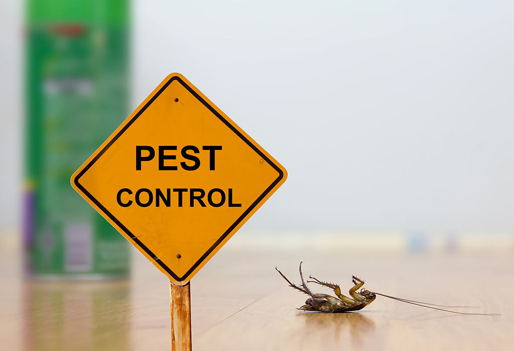 Pest Control Melbourne