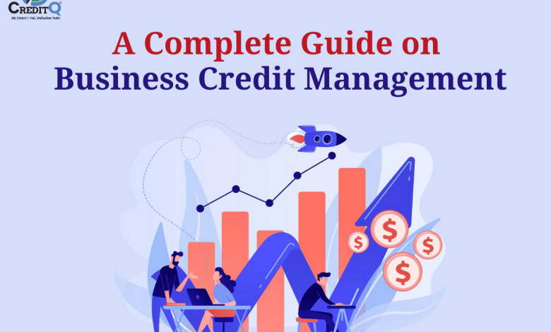 A Complete Guide on Business Credit Management