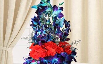 Photo of Buy these flowers online bangalore even at the last-minute